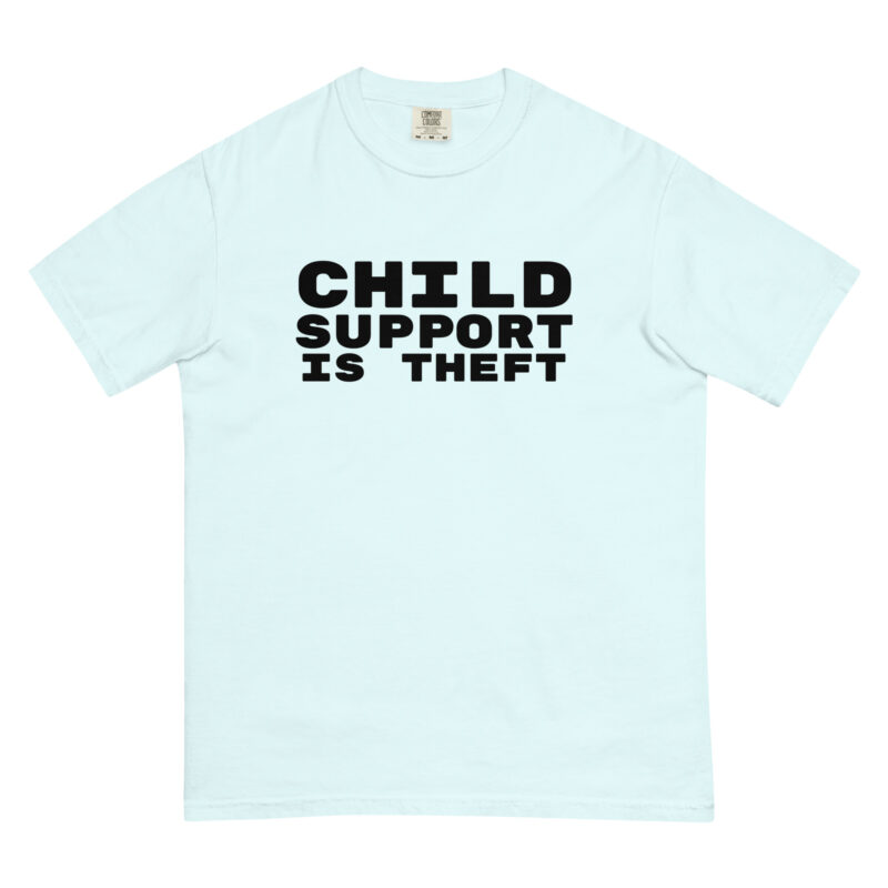 Child Support is Theft - Shirt