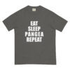 Eat Sleep Pangea Repeat - Shirt - Image 6
