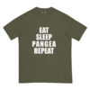 Eat Sleep Pangea Repeat - Shirt